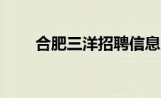 合肥三洋招聘信息（合肥三洋简介）