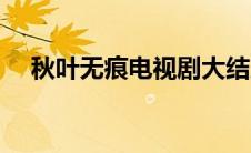 秋叶无痕电视剧大结局（秋无痕了简介）