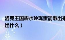 洛克王国碧水玲珑蛋能孵出来什么（洛克王国碧水玲珑能孵出什么）