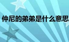 仲尼的弟弟是什么意思（仲尼的弟弟是什么）