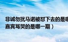 非诚勿扰马诺被怼下去的是哪一期（非诚勿扰马诺被一位男嘉宾骂哭的是哪一期）