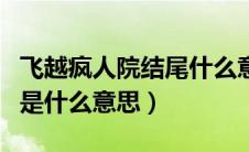 飞越疯人院结尾什么意思（飞越疯人院的结局是什么意思）
