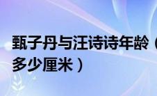 甄子丹与汪诗诗年龄（甄子丹老婆汪诗诗身高多少厘米）