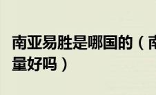 南亚易胜是哪国的（南亚易胜的内存怎么样质量好吗）