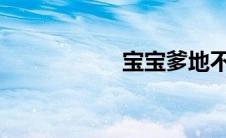 宝宝爹地不负责简介