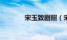 宋玉致剧照（宋玉致谁演的）