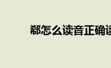 郗怎么读音正确读法（郗怎么读）