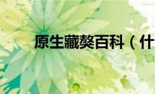 原生藏獒百科（什么是原生态藏獒）