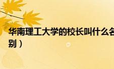 华南理工大学的校长叫什么名字（华南理工大学校长什么级别）