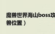 魔兽世界海山boss攻略（魔兽世界海山灵魂兽位置）