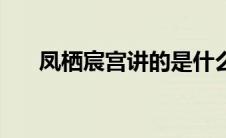 凤栖宸宫讲的是什么（凤栖宸宫简介）