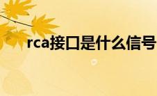 rca接口是什么信号（rca接口是什么）