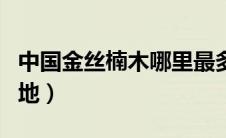 中国金丝楠木哪里最多（中国金丝楠木最大产地）