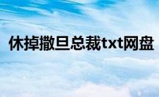 休掉撒旦总裁txt网盘（休掉撒旦总裁简介）
