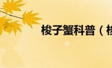 梭子蟹科普（梭子蟹科简介）