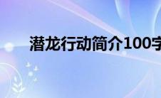 潜龙行动简介100字（潜龙行动简介）