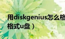 用diskgenius怎么格式化u盘（diskgenius格式u盘）