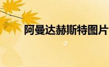 阿曼达赫斯特图片（阿曼达赫斯特）