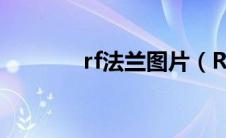 rf法兰图片（Rf是什么法兰）