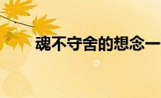 魂不守舍的想念一个人（魂不守舍）