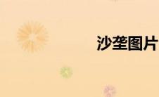沙垄图片（沙垄）