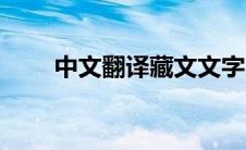 中文翻译藏文文字（中文翻译藏文）
