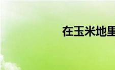 在玉米地里又摸又添