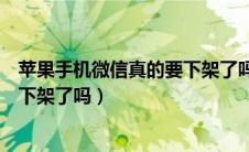 苹果手机微信真的要下架了吗安全吗（苹果手机微信真的要下架了吗）