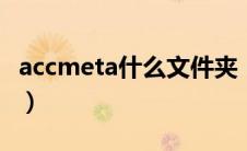 accmeta什么文件夹（accdata是什么文件夹）