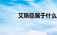 艾斯臣属于什么档次（艾斯臣）