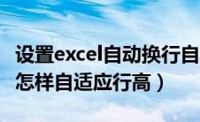 设置excel自动换行自适应（excel自动换行后怎样自适应行高）