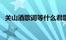 关山酒歌词等什么君歌曲（等什么君歌曲）