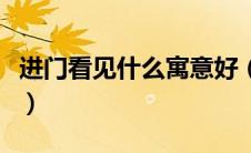 进门看见什么寓意好（一进门看见什么风水好）