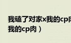 我磕了对家x我的cp肉第几章（我磕了对家x我的cp肉）