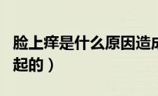脸上痒是什么原因造成的（脸痒是什么原因引起的）