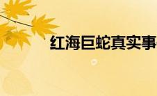 红海巨蛇真实事件（红海巨蛇）