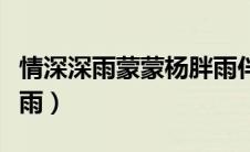 情深深雨蒙蒙杨胖雨伴奏（情深深雨蒙蒙杨胖雨）