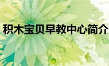 积木宝贝早教中心简介（积木宝贝早教中心）