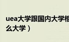uea大学跟国内大学相比什么档次（UEA是什么大学）
