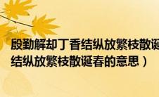 殷勤解却丁香结纵放繁枝散诞春的意思10字（殷勤解却丁香结纵放繁枝散诞春的意思）