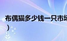布偶猫多少钱一只市场价（布偶猫多少钱一只）