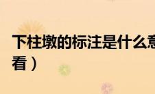 下柱墩的标注是什么意思（下柱墩的标注怎么看）