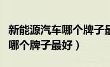 新能源汽车哪个牌子最好最便宜（新能源汽车哪个牌子最好）