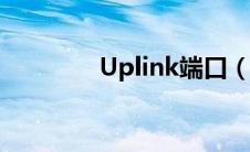 Uplink端口（uplink端口）