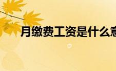 月缴费工资是什么意思（月缴费工资）