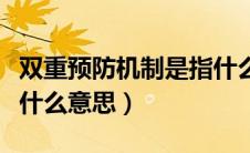 双重预防机制是指什么内容（双重预防机制是什么意思）