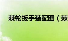 棘轮扳手装配图（棘轮扳手原理结构图）