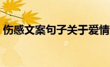 伤感文案句子关于爱情简短（伤感文案句子）