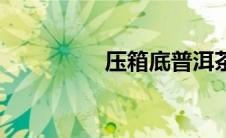 压箱底普洱茶（压箱底）