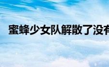 蜜蜂少女队解散了没有（蜜蜂少女队解散）